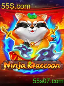 NinjaRaccoon